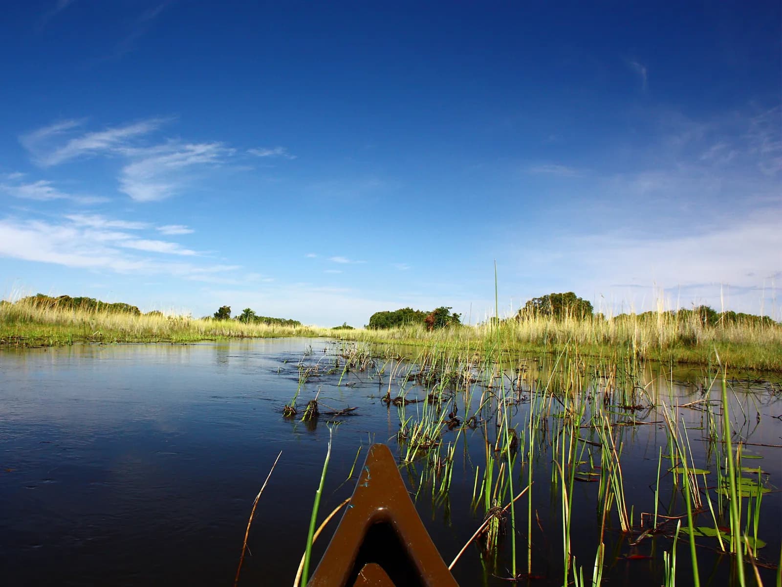 Okavango Delta