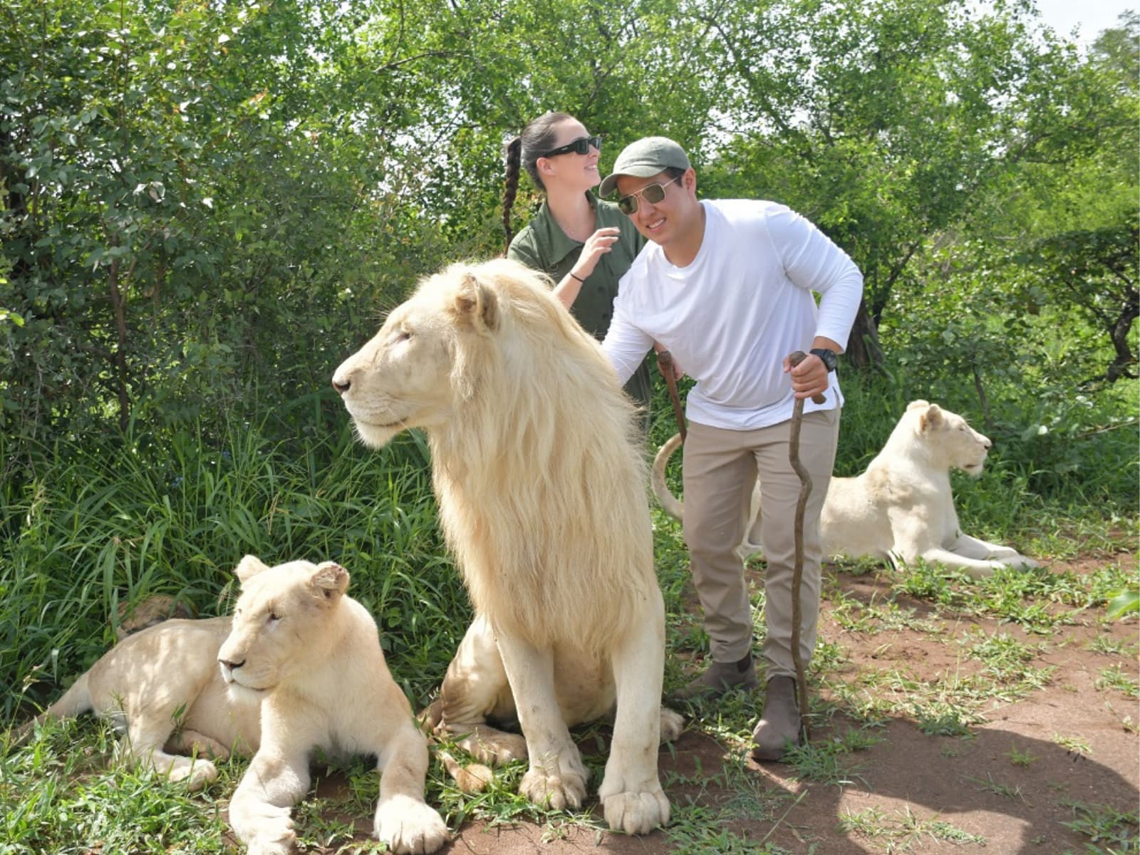 Victoria Falls Big Cat Conservation Experience
