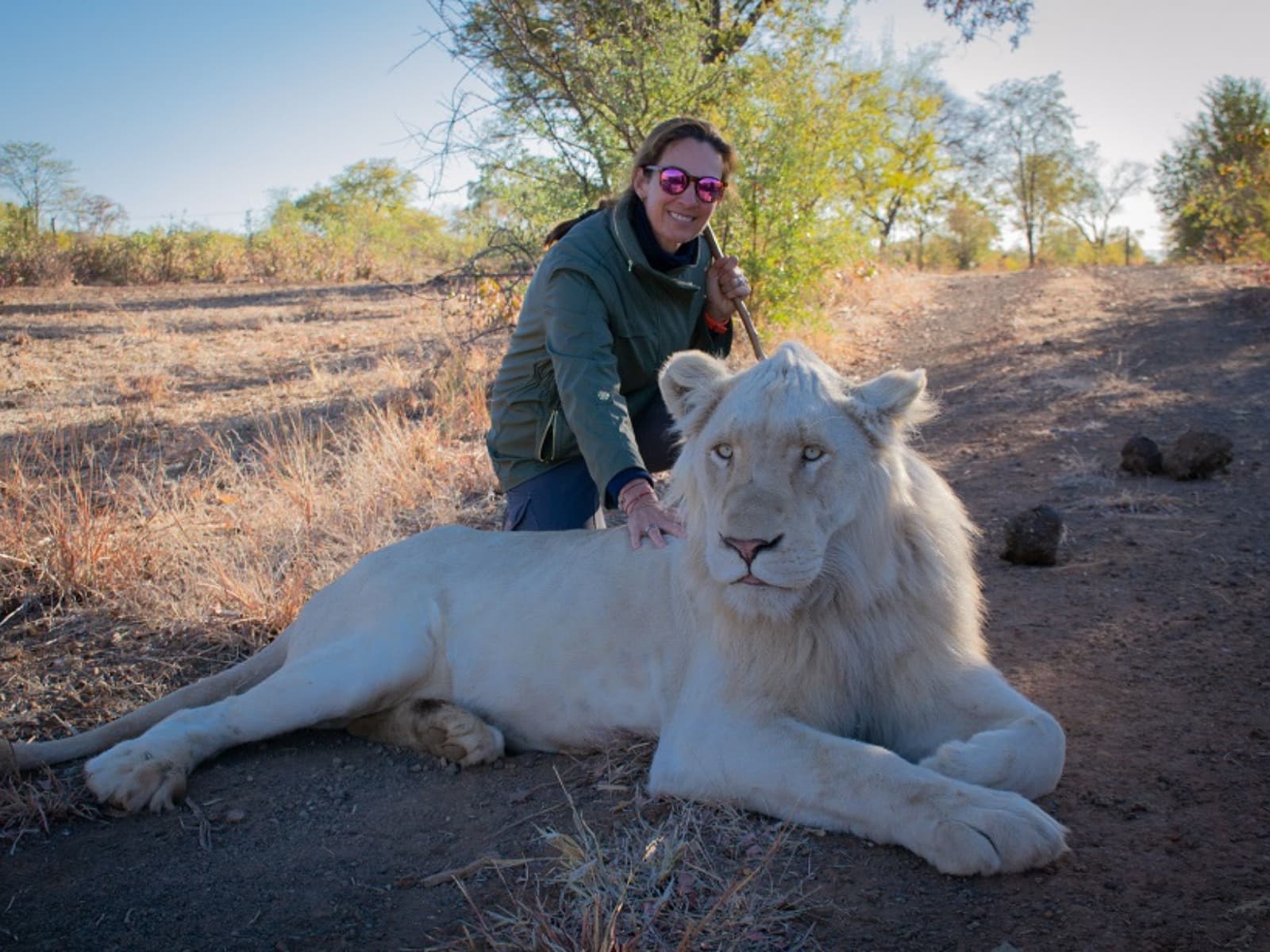 Victoria Falls Big Cat Conservation Experience gallery image 1