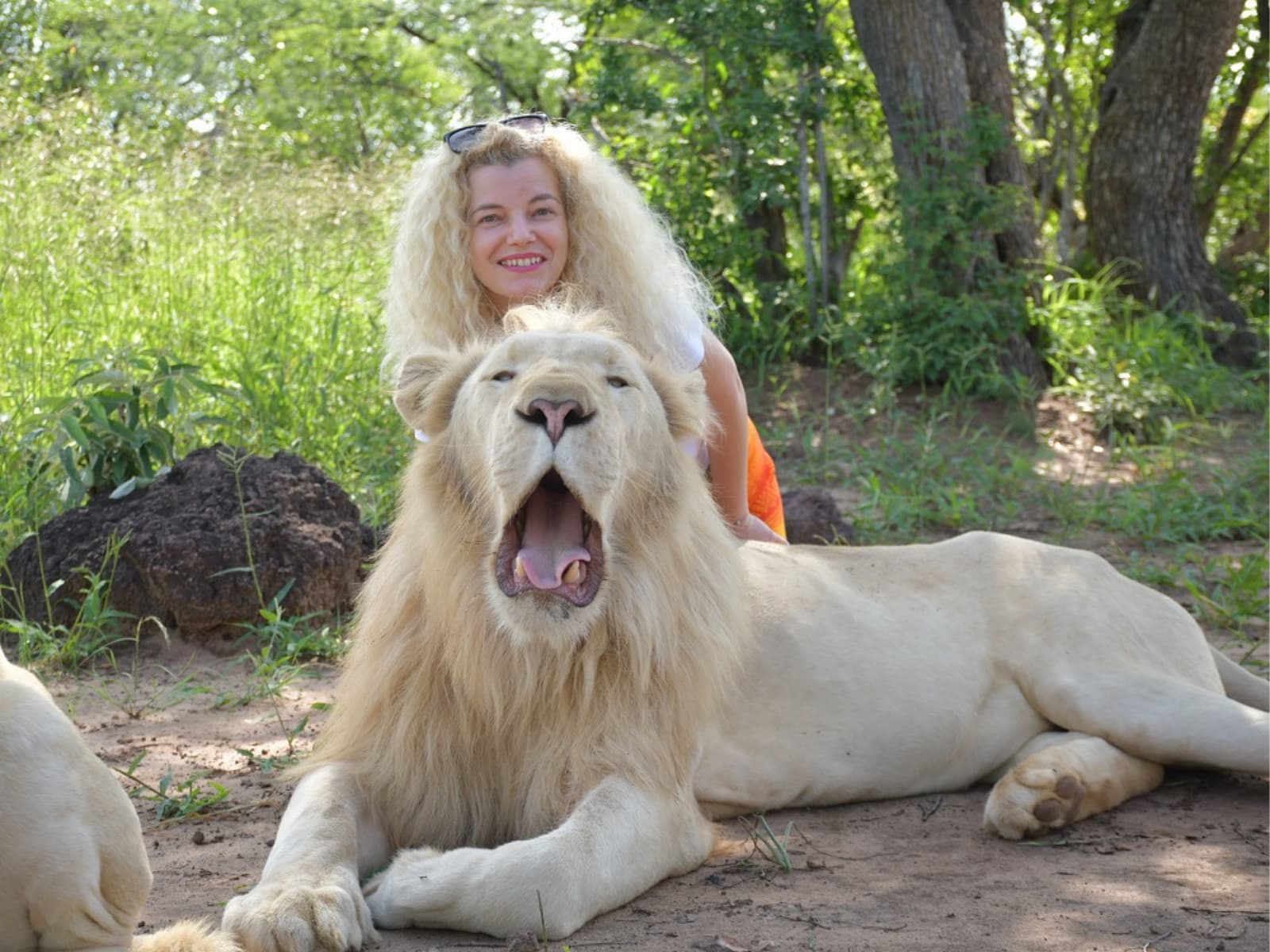 Victoria Falls Big Cat Conservation Experience gallery image 4