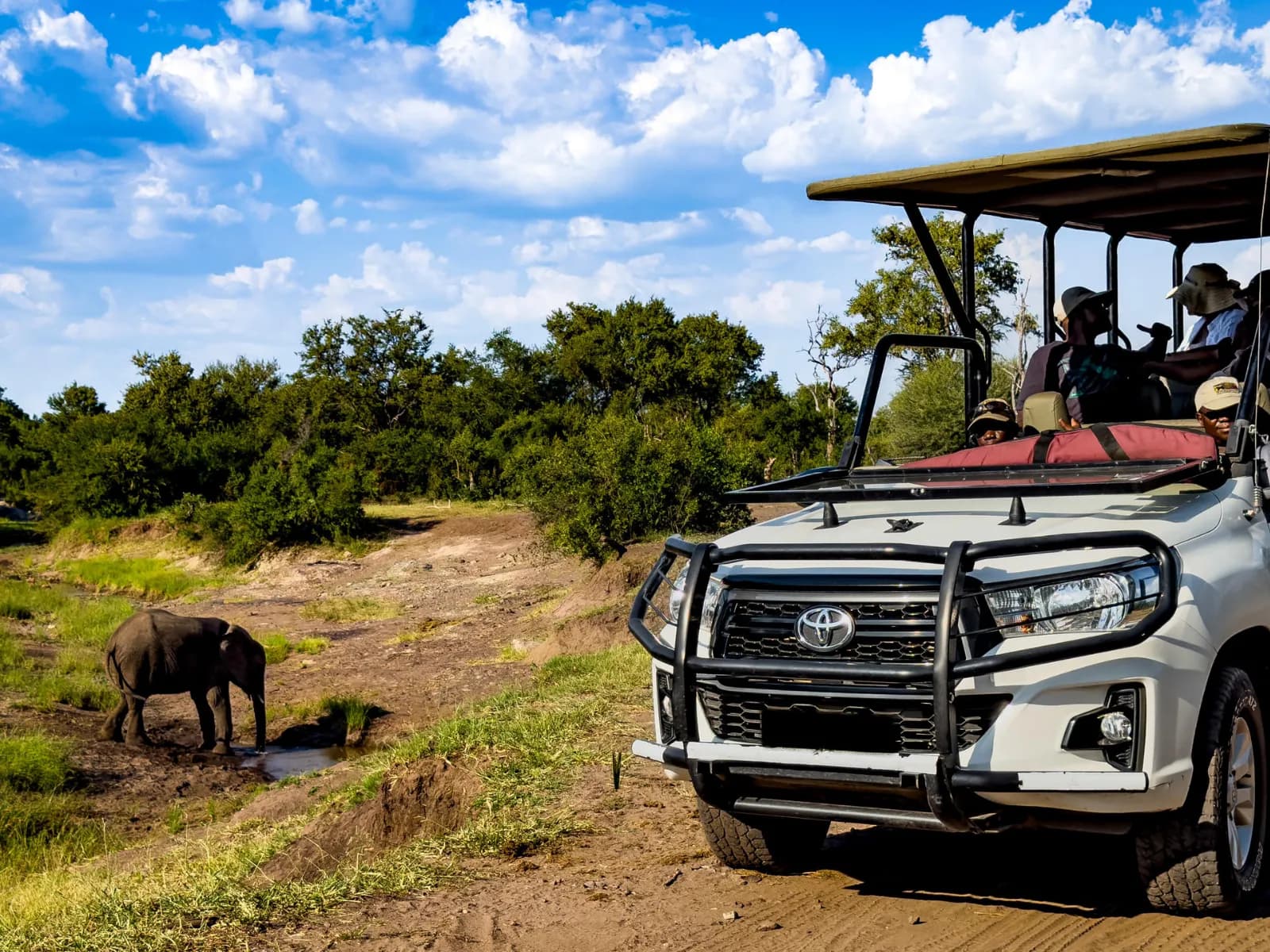 Victoria Falls Wildlife Safari