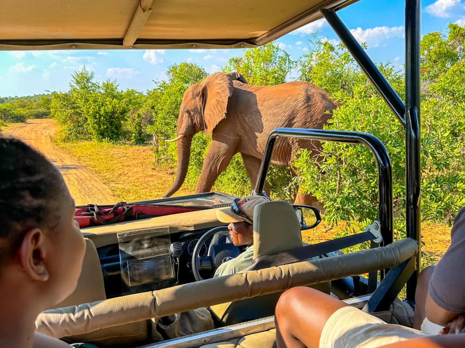Victoria Falls Wildlife Safari gallery image 1