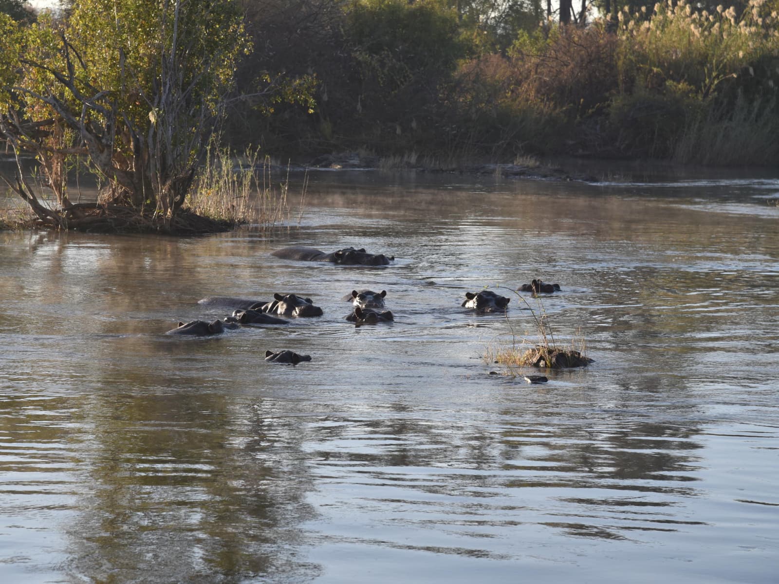 Zambezi Sunset Dinner Cruise gallery image 3