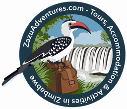 Zazu Adventures