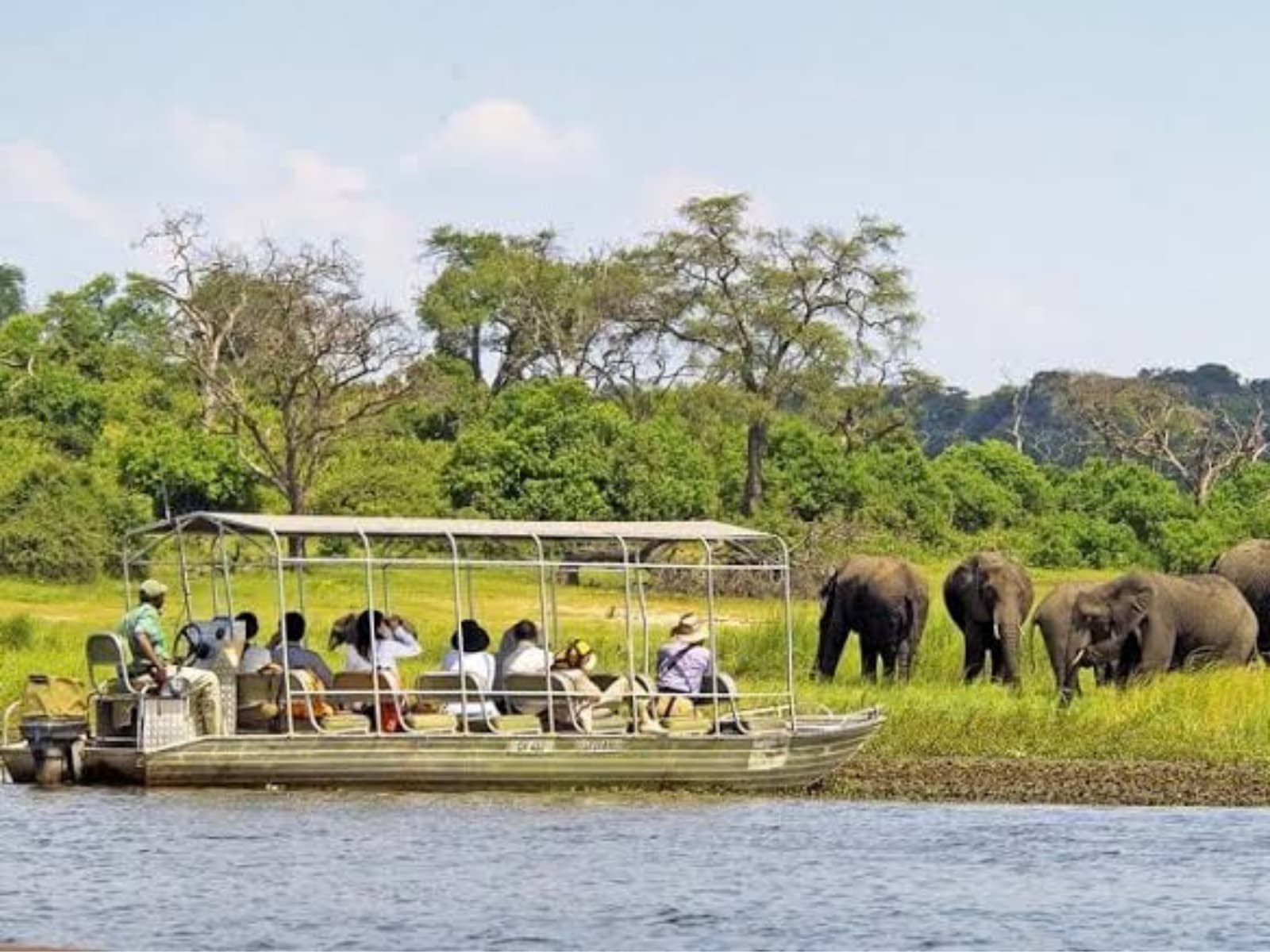 Chobe National Park Day Safari gallery image 2