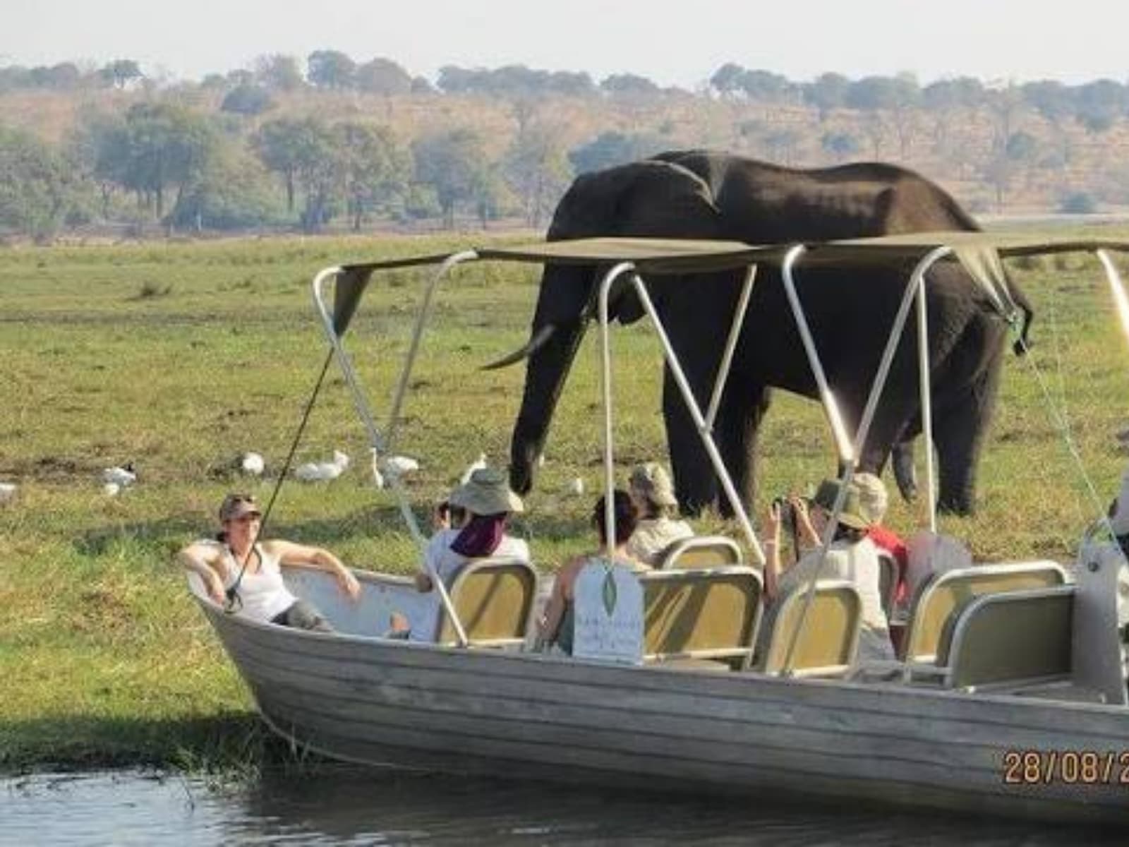 Chobe National Park Day Safari gallery image 4