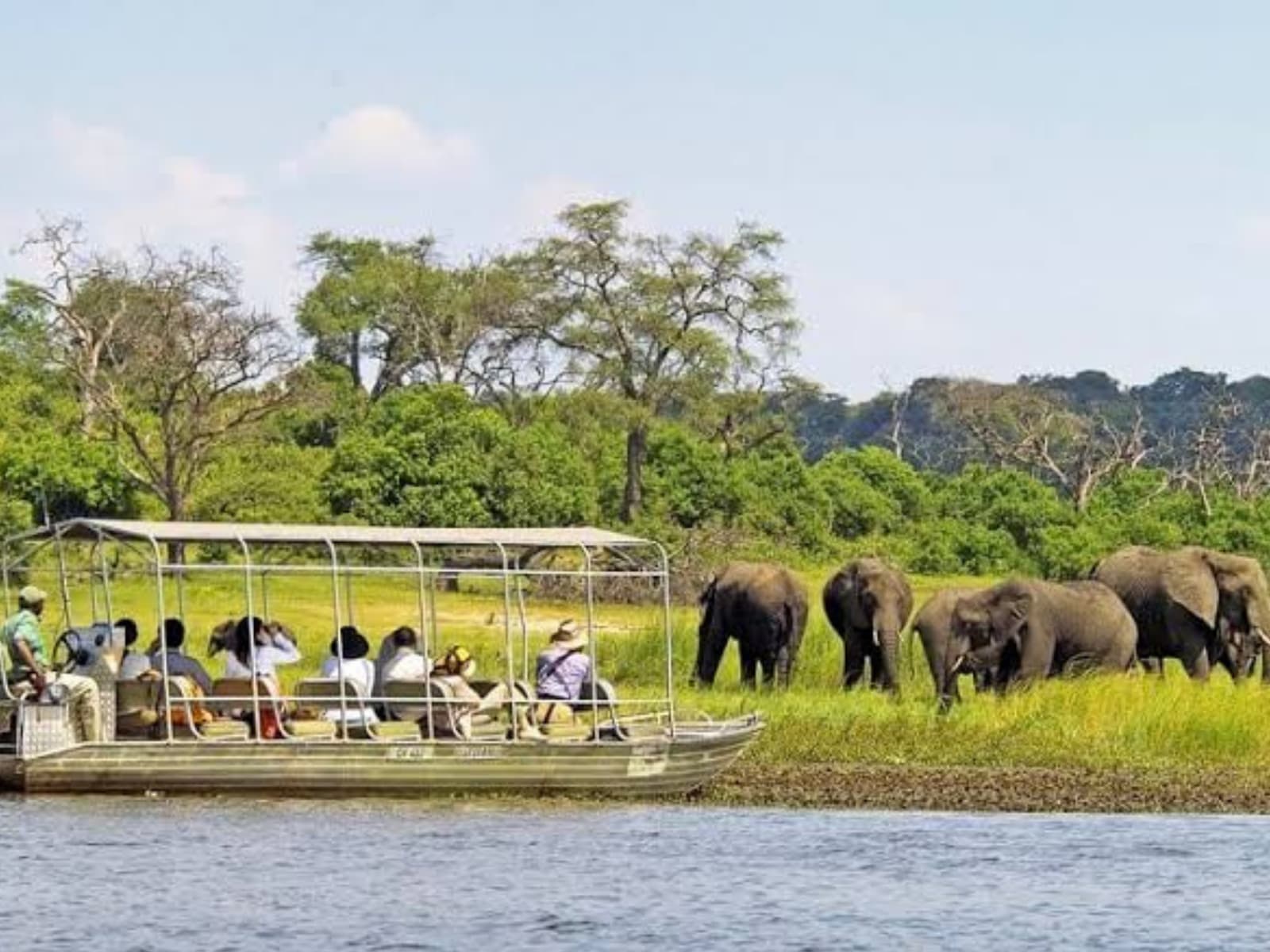 Chobe National Park Day Safari gallery image 6