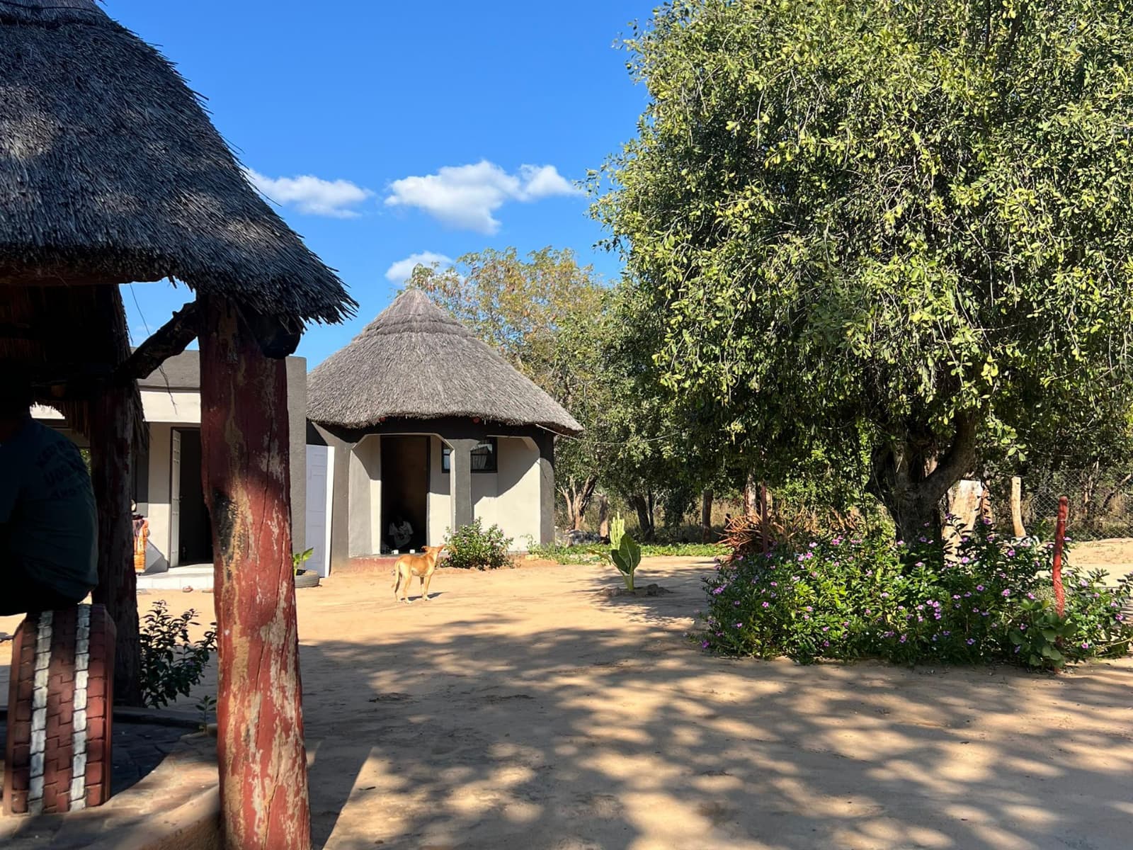Into Zimbabwean Village Life gallery image 3