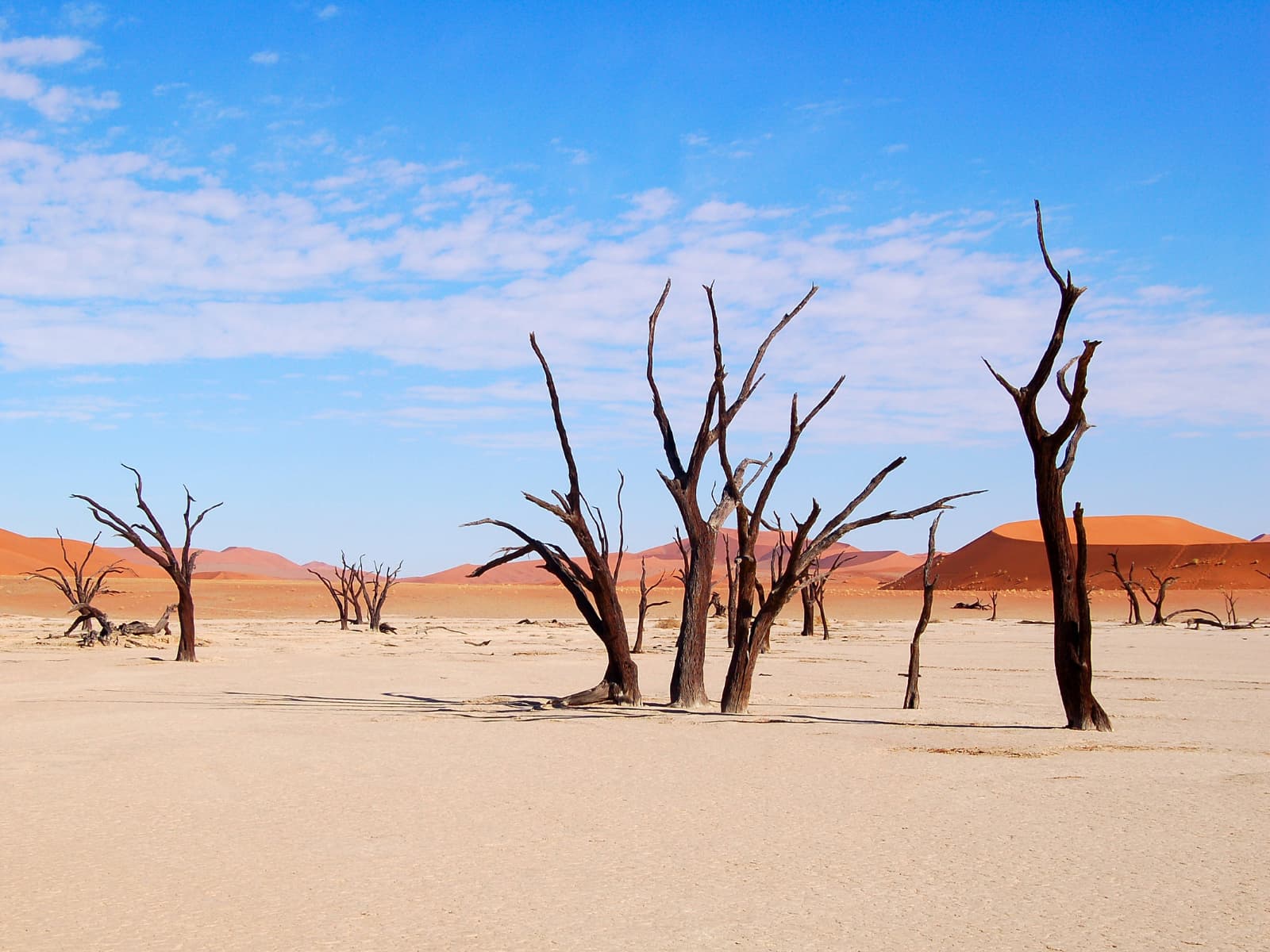 Ultimate Namibia Safari