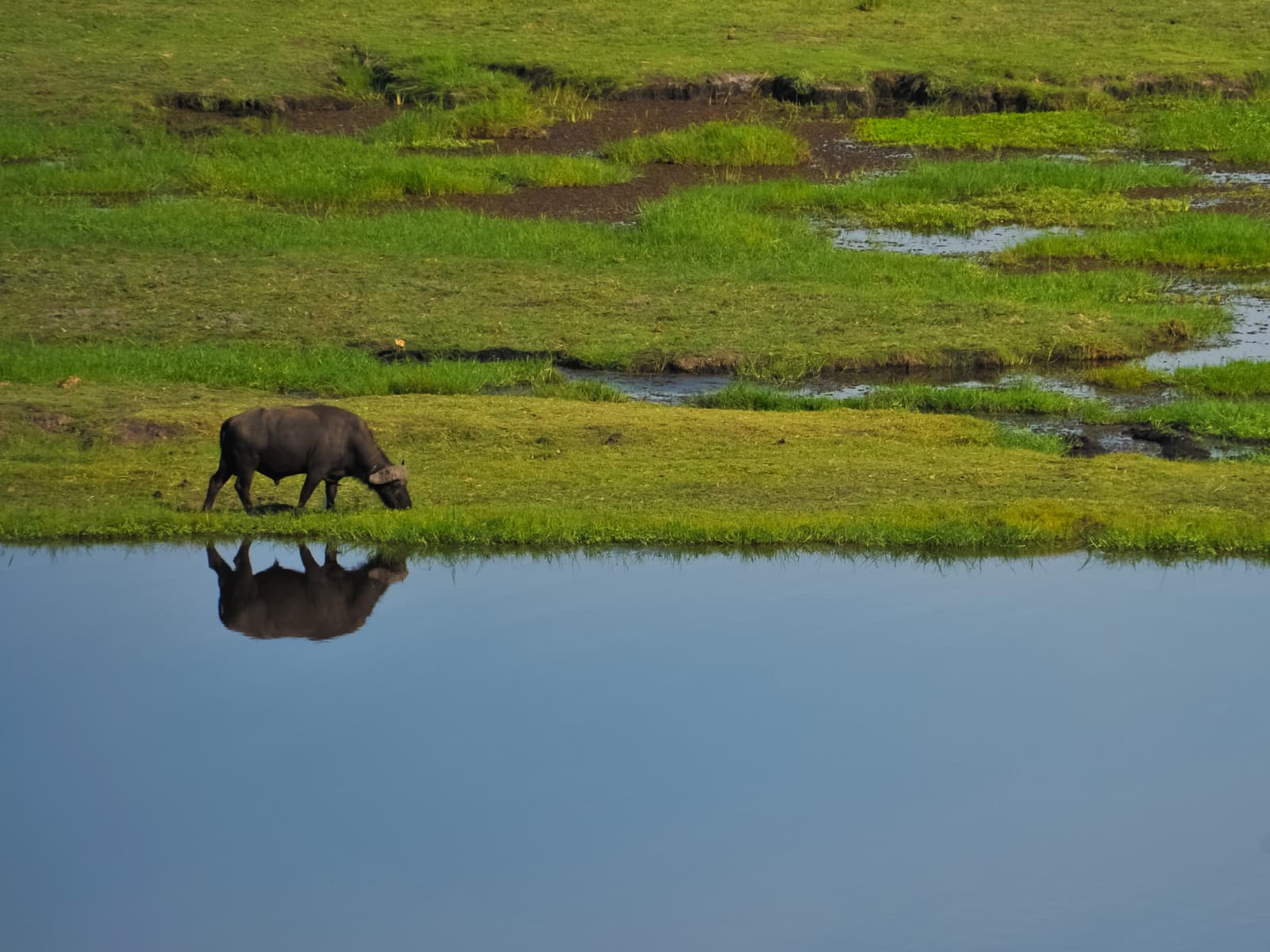 Victoria Falls & Chobe Safari Escape
