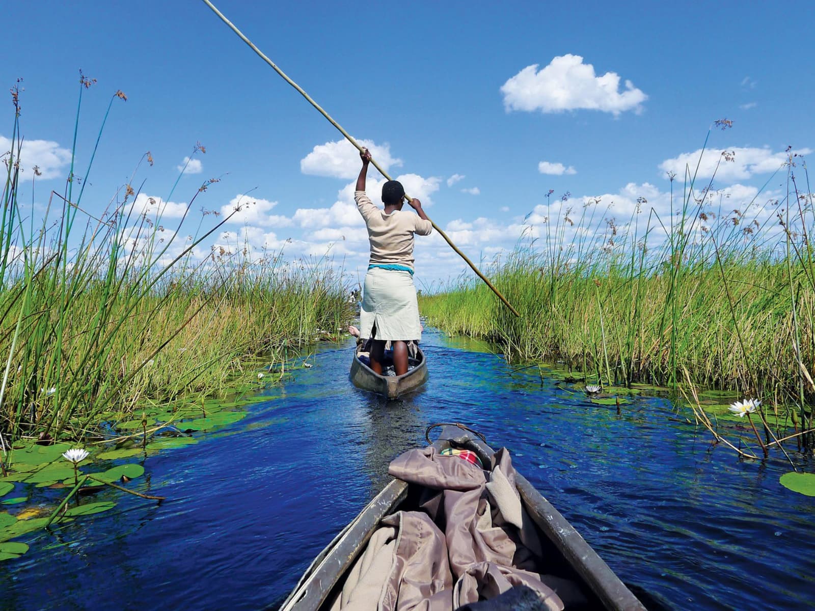 Victoria Falls to Okavango: Botswana Wild Journey